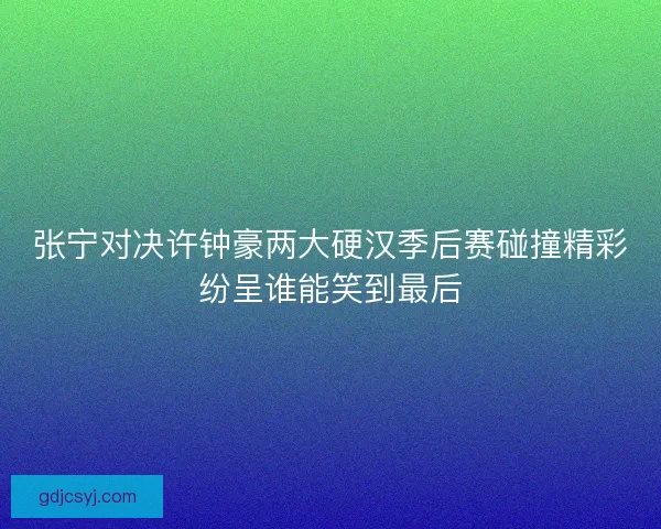 张宁对决许钟豪两大硬汉季后赛碰撞精彩纷呈谁能笑到最后